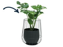 Monstera in zwarte cage pot