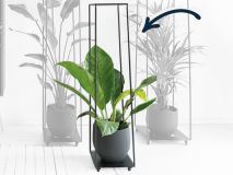Plantenrek S met Anthurium Jungle King in pot