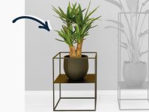 Plantenstandaard staal zwart laag met Yucca in pot