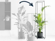 Plantenrek L met Kentia palm in pot